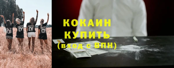 прущие крисы Ельня